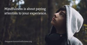 Skillfull Mindfulness: Mindfulness is about paying attention to your experience.