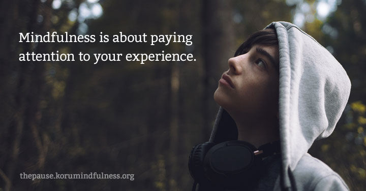 Skillfull Mindfulness: Mindfulness is about paying attention to your experience.