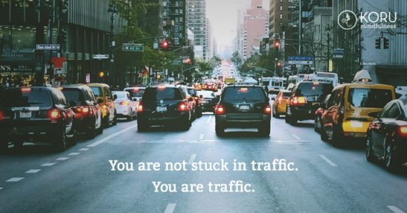 You are not stuck in traffic. You are traffic. Cease Suffering