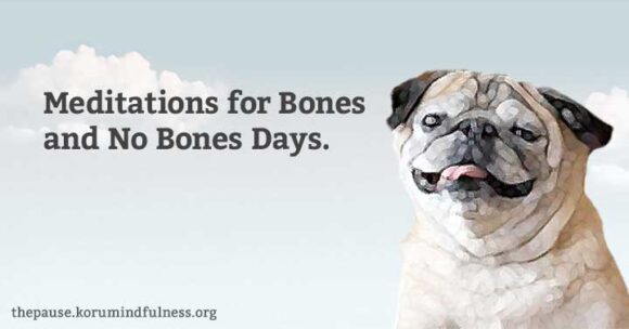 Image of Noodle the pug with the words "Meditations for Bones and No Bones Days" on a cloud background