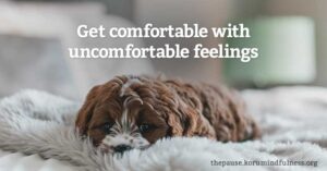 Photo of alert, comfortable, and super cute dog laying in a bed. Words that say "Get comfortable with uncomfortable feelings"